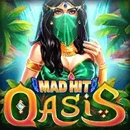 Mad Hit Oasis screenshot